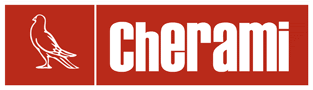 cher Cherami Ltd Case Study